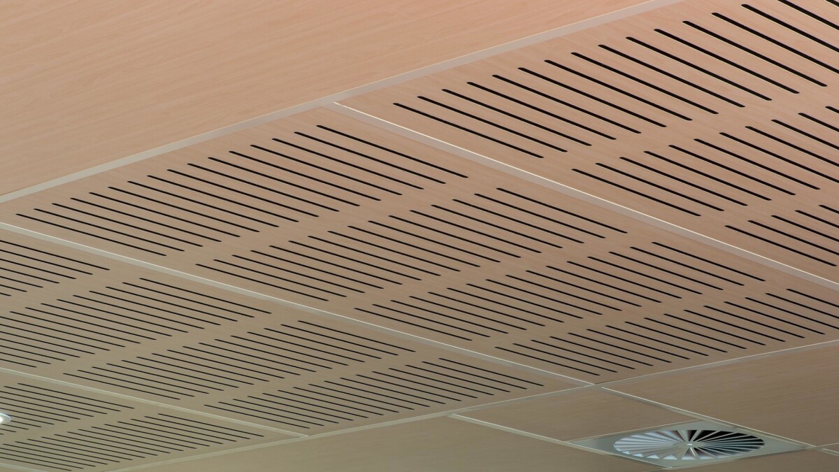 Ormiston Junior College - Ceilings